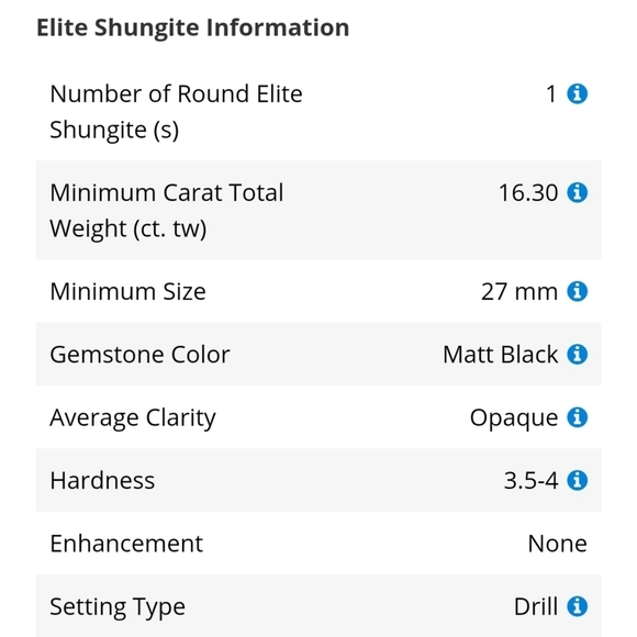 LEO Zodiac Pendant ✦ 24.20 CTW Shungite ✦ 925 Sterling Silver 18" Princess Chain - Picture 6 of 8